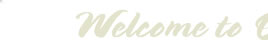 florida vacation rental graphic